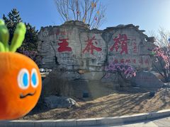 -王莽岭风景区