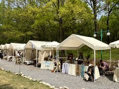 -南京老山国家森林公园