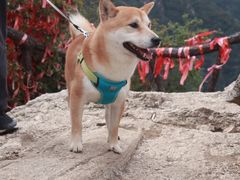-秦岭终南山世界地质公园翠华山景区