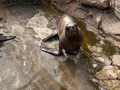 -西霞口神雕山野生动物世界