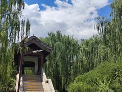 -团结湖公园