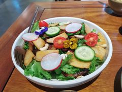 菌菇沙拉-七色云蔬食(喜邻里店)