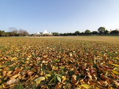 -石家庄市植物园