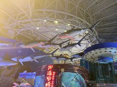 -烟台海昌鲸鲨海洋公园