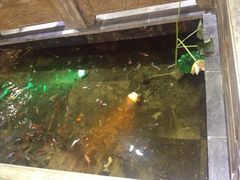 iphone_upload_pic-半亩方塘酒楼