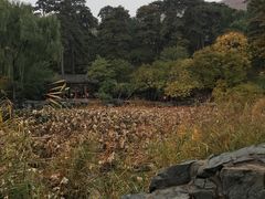 -香山公园-东宫门售票处