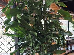 -盐帮食坊•小河帮川菜(四川师大店)