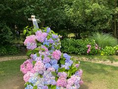 -上海共青森林公园