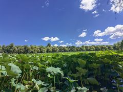 -长春市南湖公园