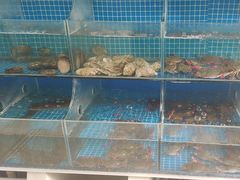 -宾朋海鲜饭庄(兴海路店)