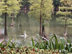 -南宁花花大世界景区