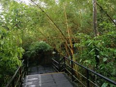 -呀诺达热带雨林