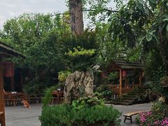 -青城甲(青城山店)