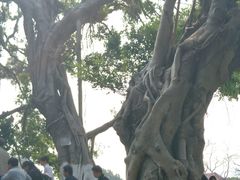 -胡里山炮台