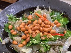 -金山记靓鸡专门店·中山菜