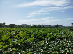 -云龙湖旅游景区