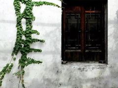 -杭州黄龙洞