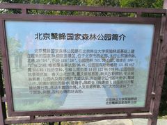 -北京鹫峰国家森林公园