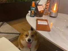 -盐说·西式餐酒馆(光明万达店)