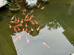 -芳芳私房菜·精做淮扬菜(承德路店)