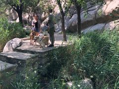 -碓臼峪自然风景区