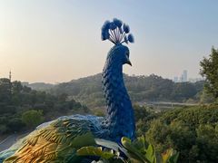 -东莞植物园