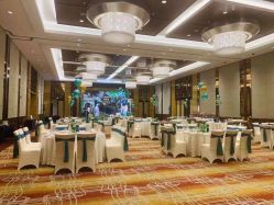 -福朋喜来登酒店·宴会厅