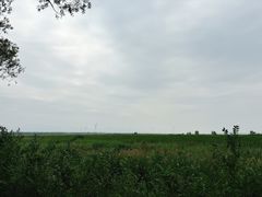 -野鸭湖国家湿地公园