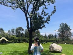 -云禾壹海景庄园餐厅