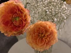 -禧瑞 ·丝浴主题·水疗·spa(中山公园店)