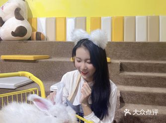 厦门首家小浣熊+新奇萌宠主题馆