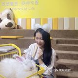 厦门首家小浣熊🦝+🐰新奇萌宠主题馆