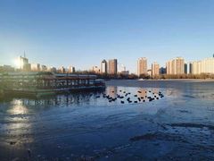 -莲花池公园