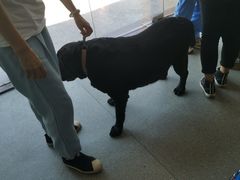 -宠颐生动物医院·全科·骨外科中心·利宠康分院