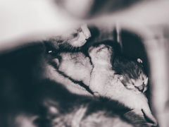 -隹木咖啡馆(宝龙广场店)