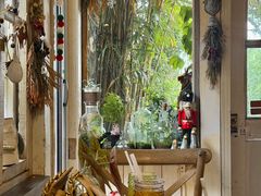 -海边的猫和咖啡馆
