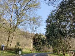 -南京老山国家森林公园