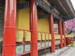 -西安市广仁寺