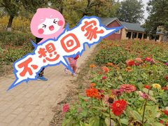 -天津武清北运河郊野公园房车露营地