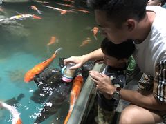 -多彩贵州城极地海洋世界