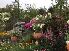 -三圣花乡旅游区