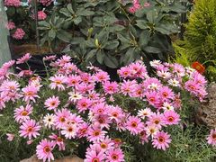 -云南省昆明市正义路步行街(三市街)