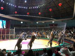 -西安秦岭野生动物园