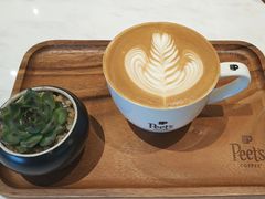 -Peet's Coffee皮爷咖啡(上海长风大悦城店)