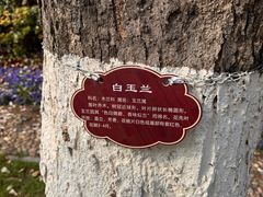 -南京晨光1865创意产业园