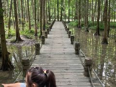 -桤木河湿地公园