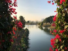 -三垟湿地