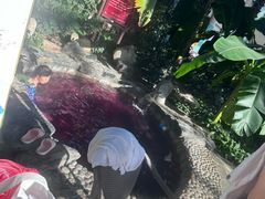 -中家鑫园温泉酒店鑫悦汤泉