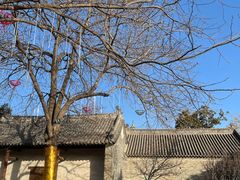 -南阳府衙