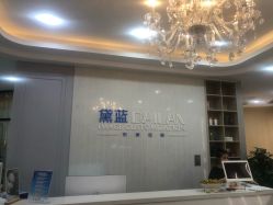 -黛蓝形象定制